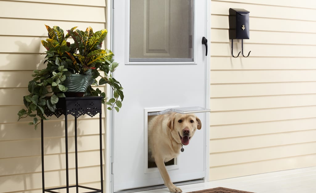 How to Choose a Storm Door for Your Home