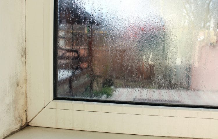 window leaking