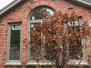 How much do windows cost in Winnipeg - EcoTech Windows Doors