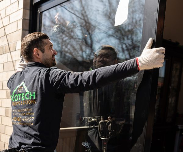 vinyl replacement windows